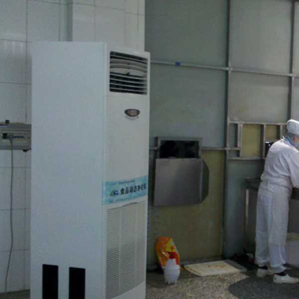 大渡口食品正负离子空气杀菌器